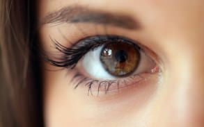 �������� ����� �����